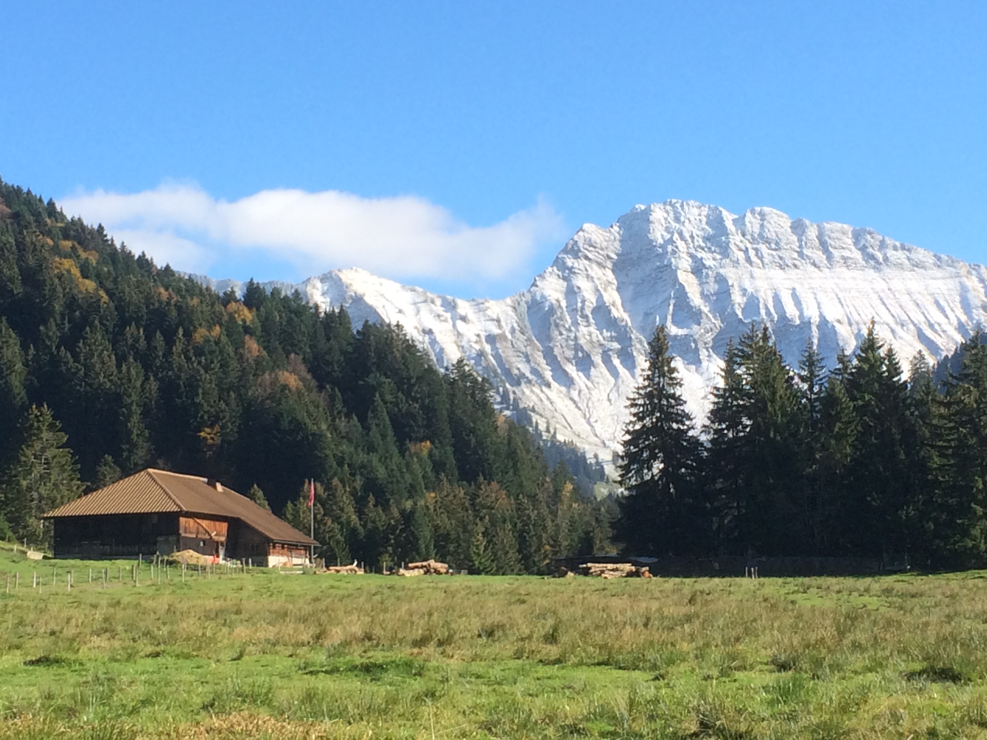 I väntans tider – höstvandring i Jura